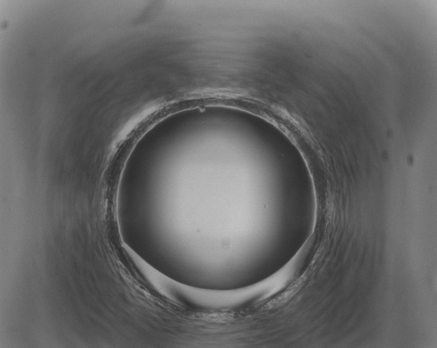 X0000083631406200702201330