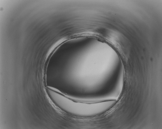 X0000083631426200702201330