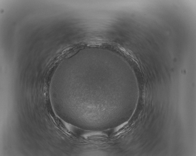 X0000083631445200702201329