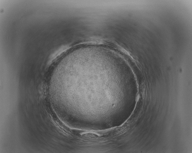 X0000083631448200702201329