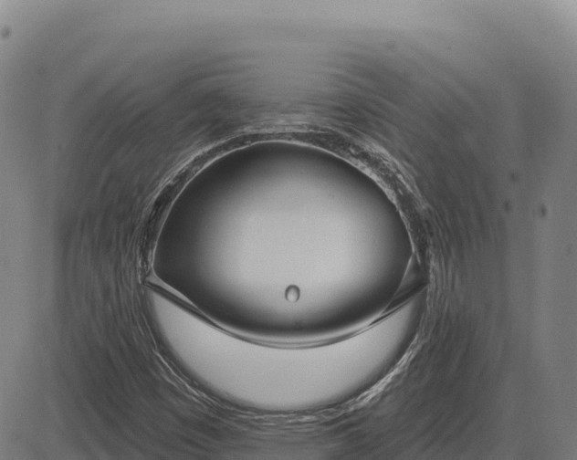 X0000083631449200702201329