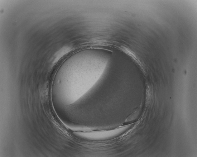 X0000083631450200702201329