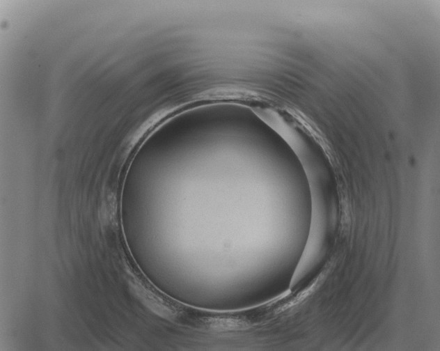 X0000083631465200702201329