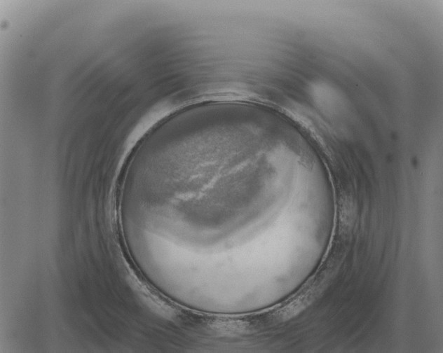 X0000083631466200702201329
