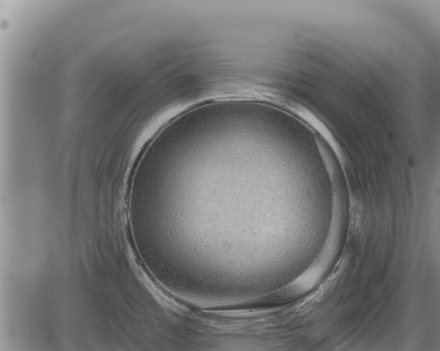 X0000083631485200702201329