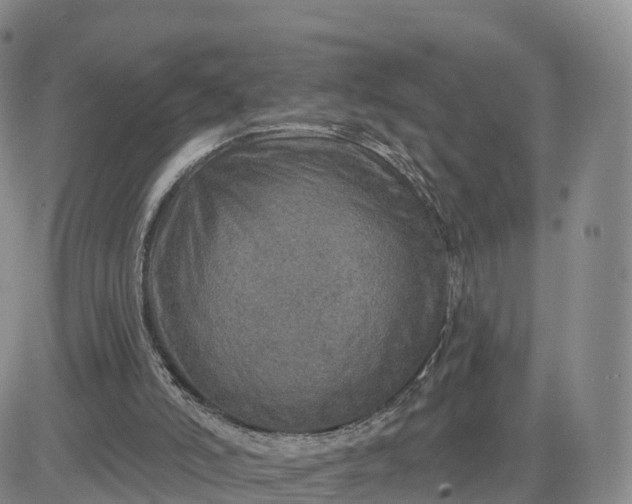 X0000083630006200702261037