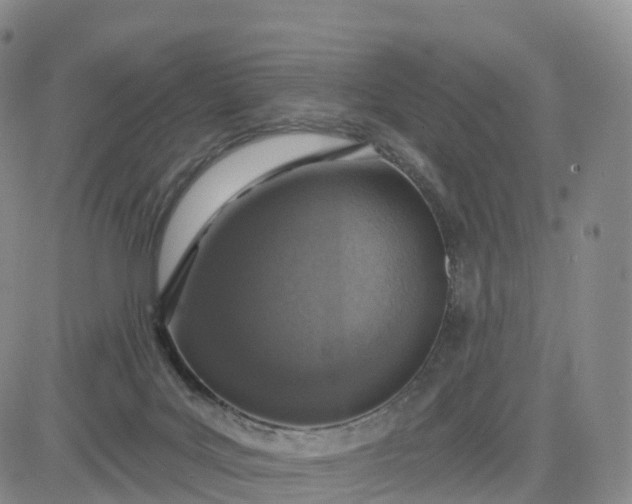 X0000083630027200702261036