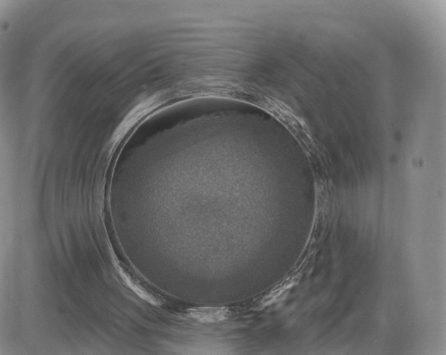 X0000083630051200702261035