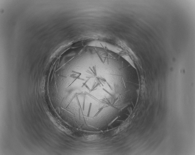 X0000083630058200702261035