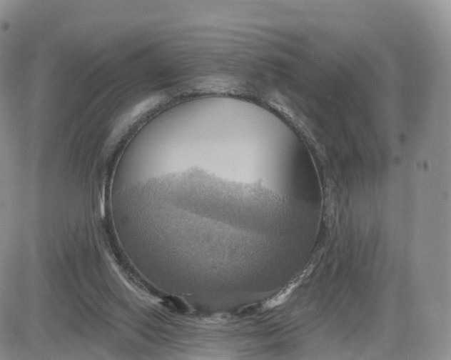 X0000083630062200702261035