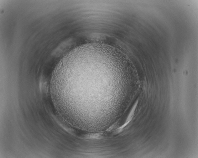 X0000083630086200702261036