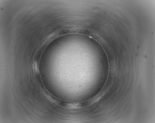 X0000083630089200702261036