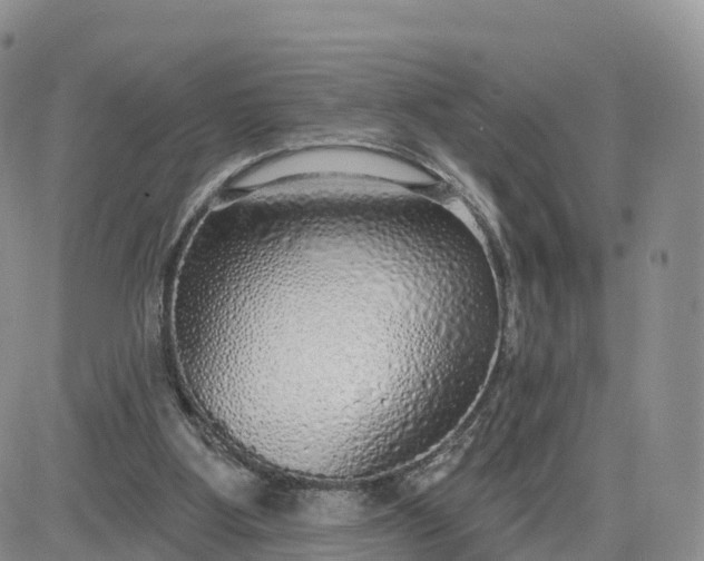 X0000083630107200702261035