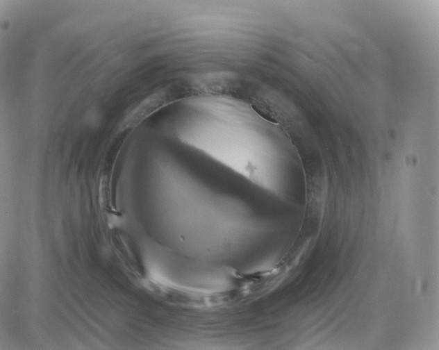 X0000083630139200702261034