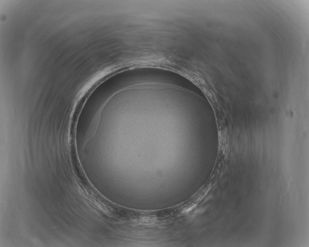 X0000083630196200702261033