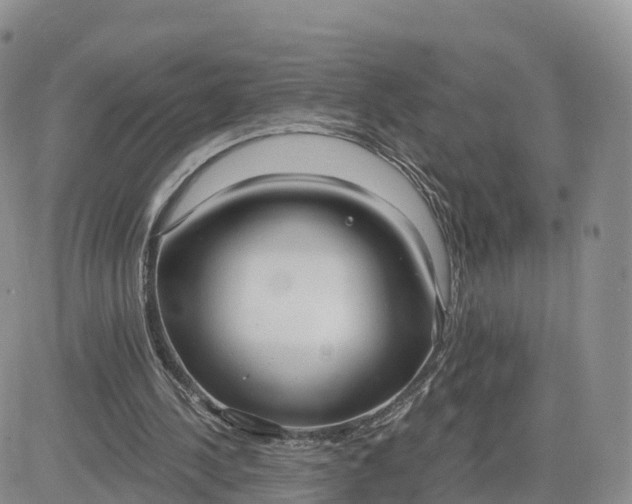 X0000083630244200702261032