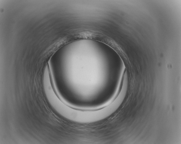 X0000083630313200702261031