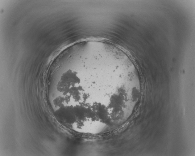 X0000083630337200702261030