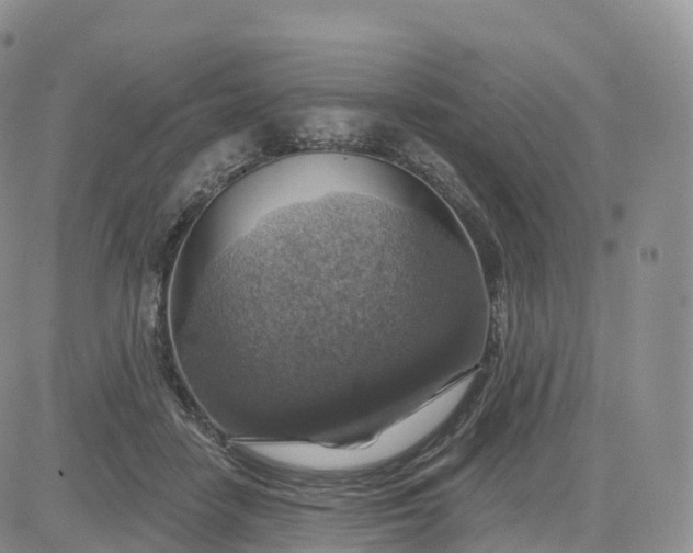 X0000083630458200702261029
