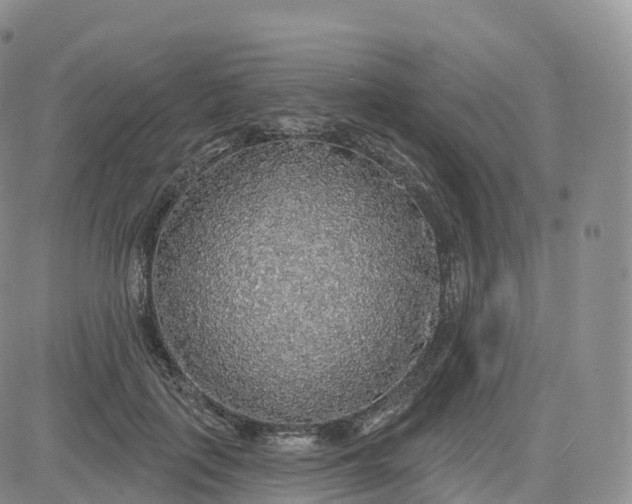 X0000083630651200702261026