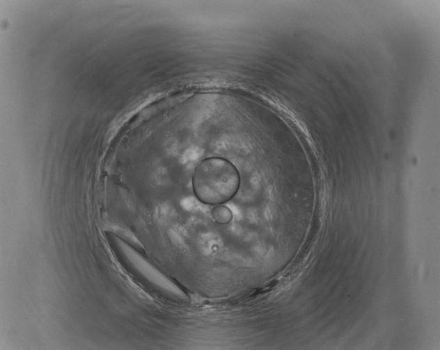 X0000083630721200702261024