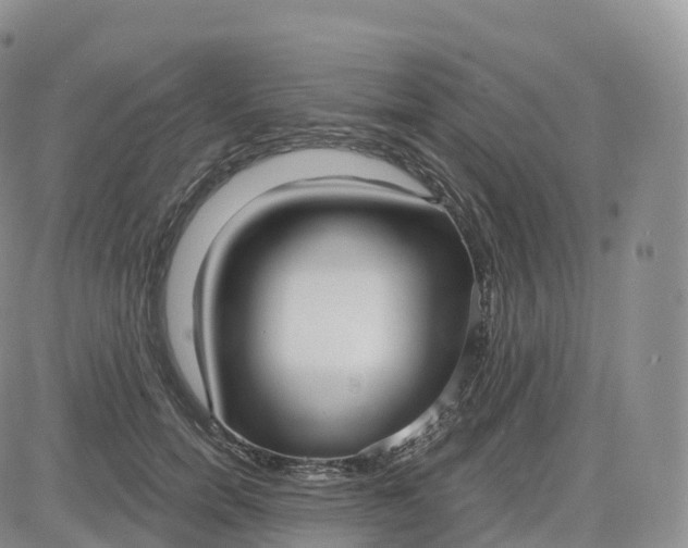 X0000083630750200702261024