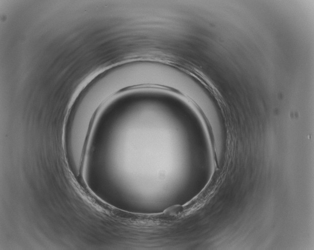X0000083630788200702261024