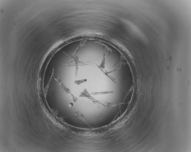 X0000083631029200702261019