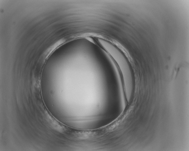 X0000083631193200702261017