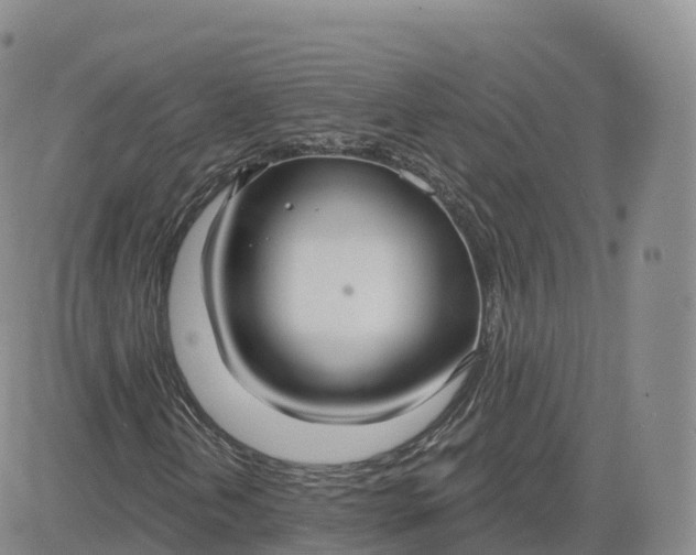 X0000083631202200702261016