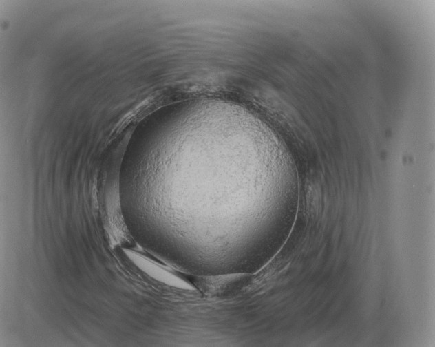 X0000083631250200702261016