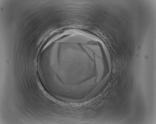X0000083630002200703051647