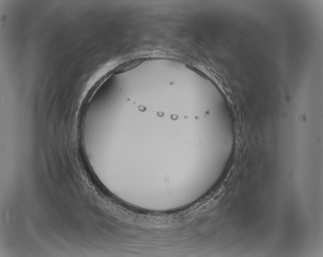 X0000083630008200703051647