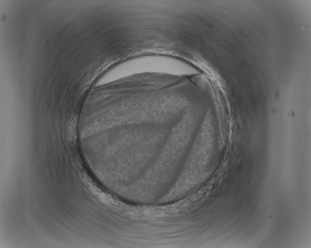 X0000083630009200703051647