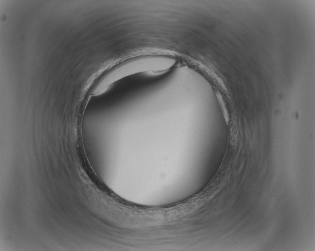 X0000083630015200703051647