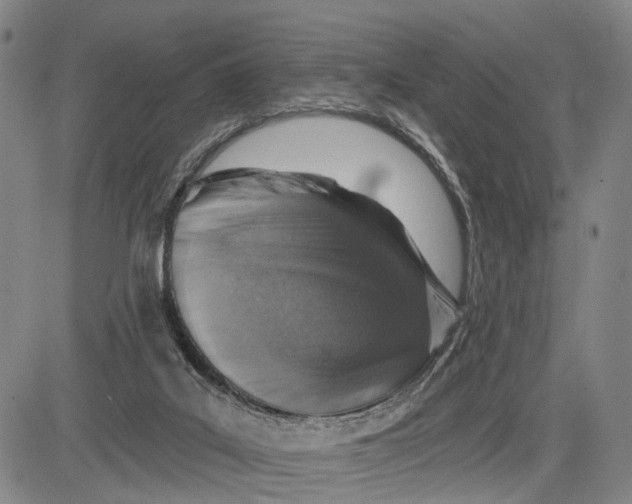 X0000083630019200703051647