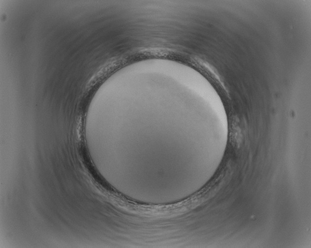 X0000083630023200703051646