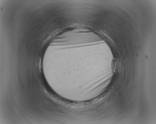 X0000083630024200703051646