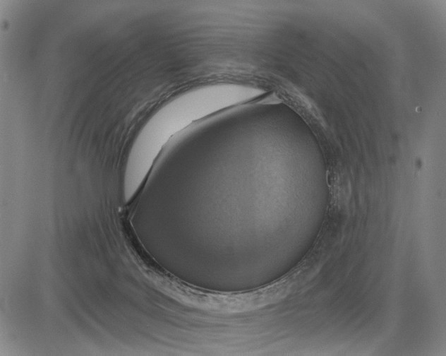 X0000083630027200703051646