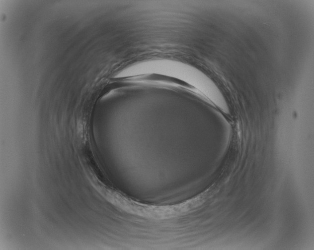 X0000083630031200703051646