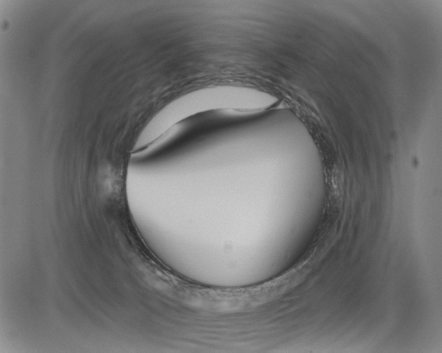 X0000083630033200703051646