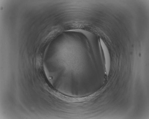 X0000083630035200703051646