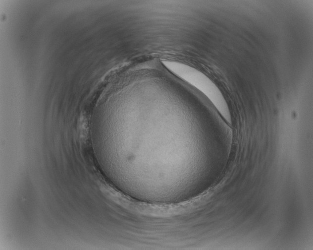 X0000083630037200703051646