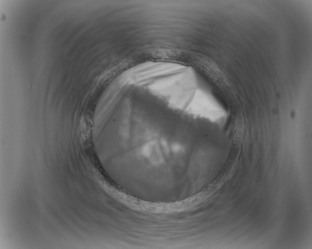 X0000083630043200703051646