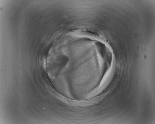 X0000083630046200703051646