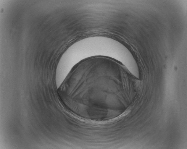 X0000083630048200703051646