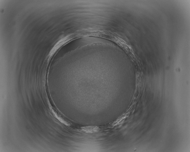 X0000083630051200703051645