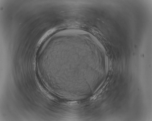 X0000083630054200703051645