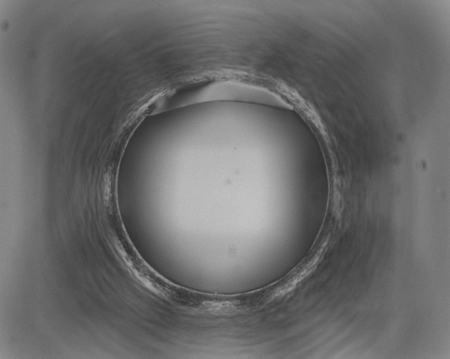 X0000083630057200703051645
