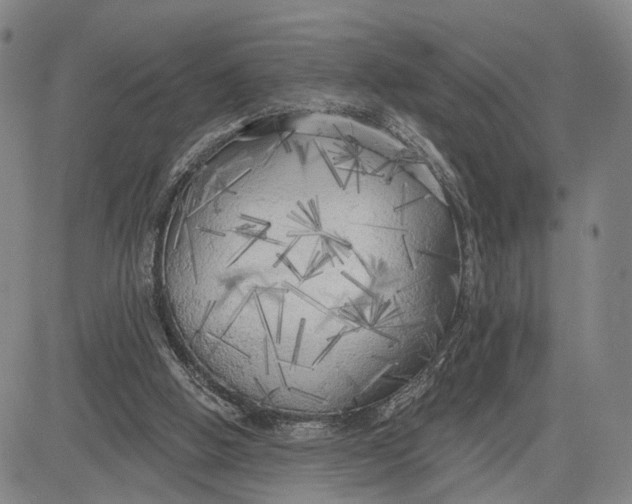 X0000083630058200703051645
